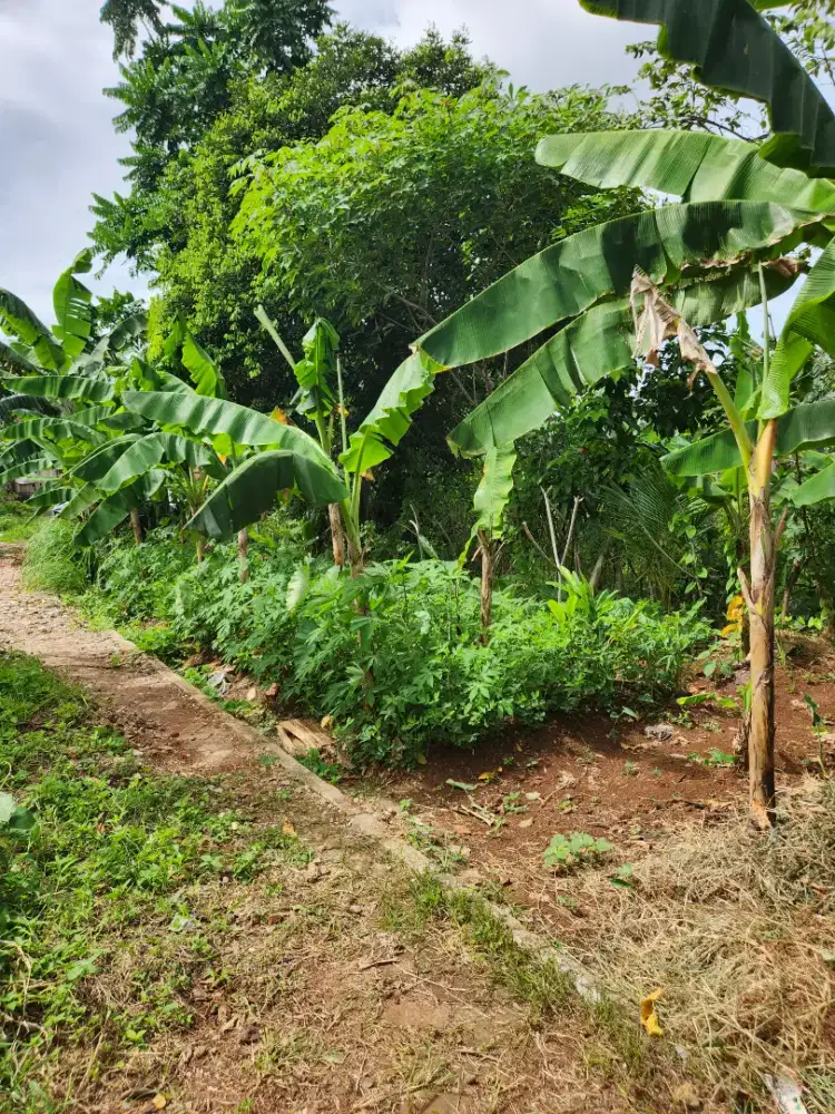 Tanah Siap Bangun Di Parigi Bintaro