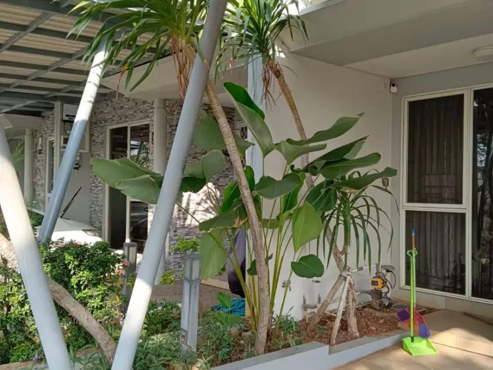 DI JUAL CLUSTER NORTH MISSISSIPPI - JAKARTA TIMUR.