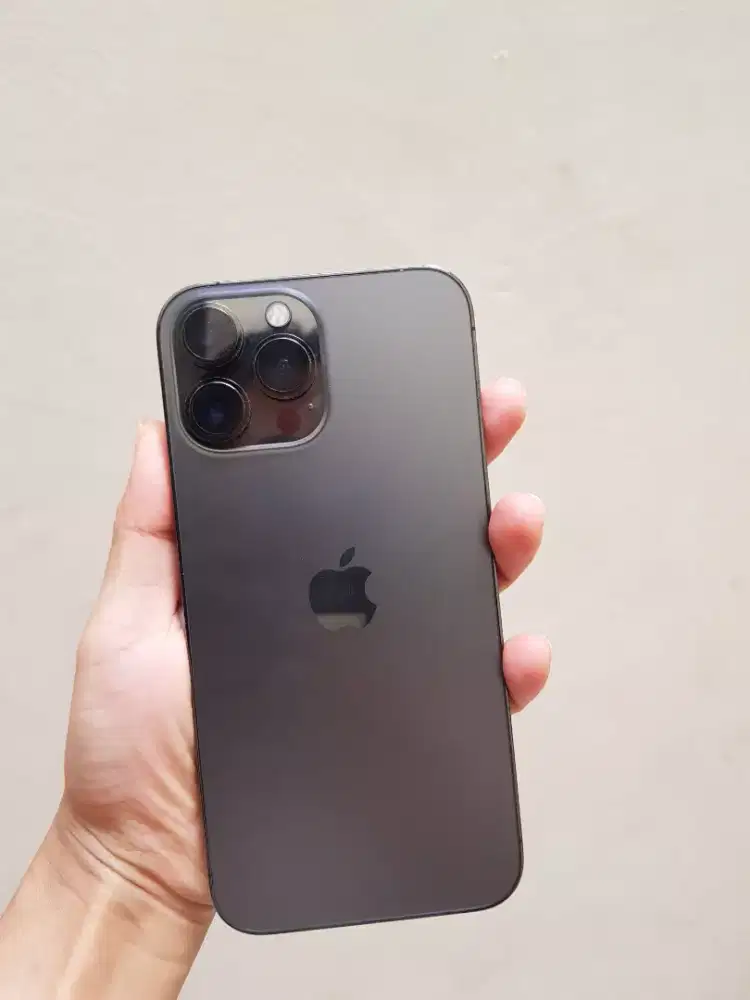 Iphone 13 Pro Max 256 GB