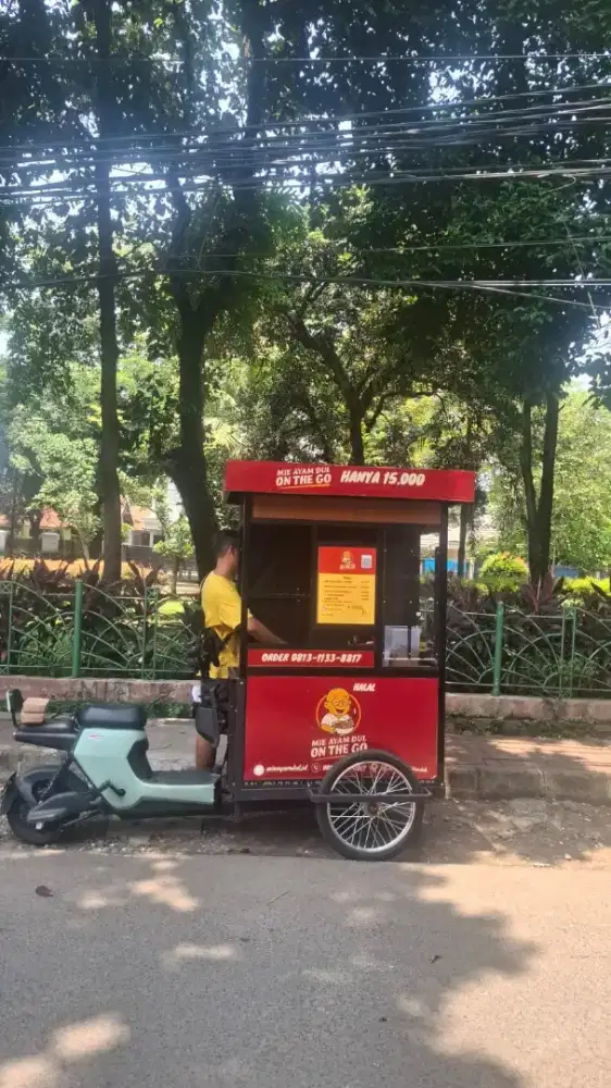 Dijual sepeda listrik gerobak