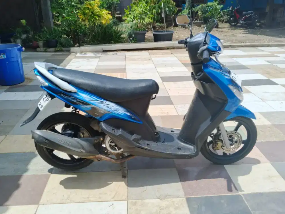 Mio smile / garnis 2009