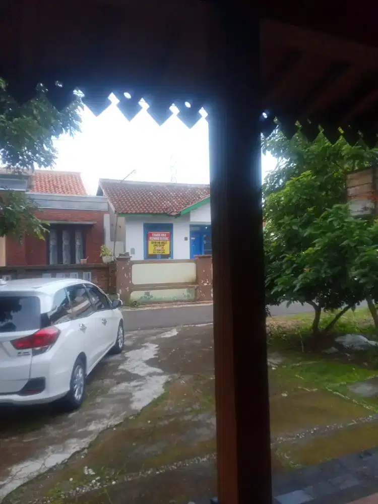 Rent car tour and travel