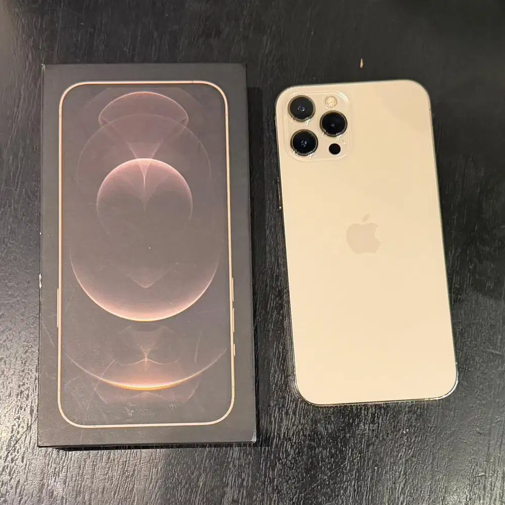 iphone 12 pro max 256