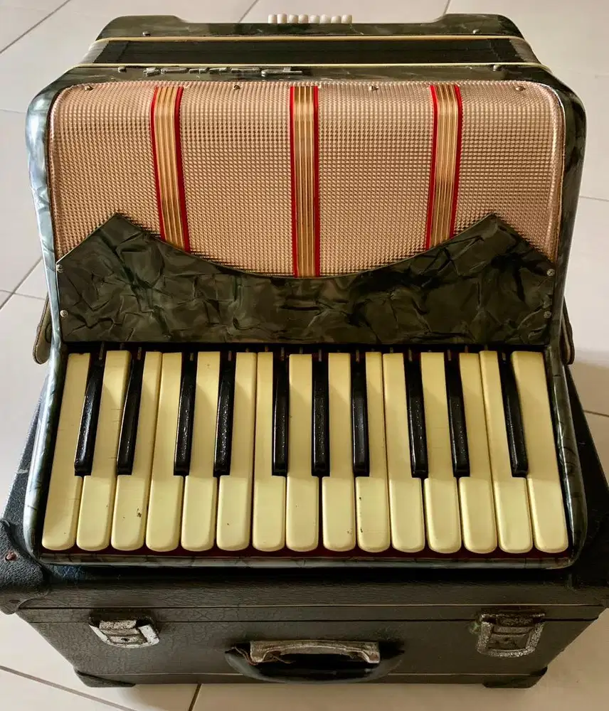 Accordion Parrot MUS 1301