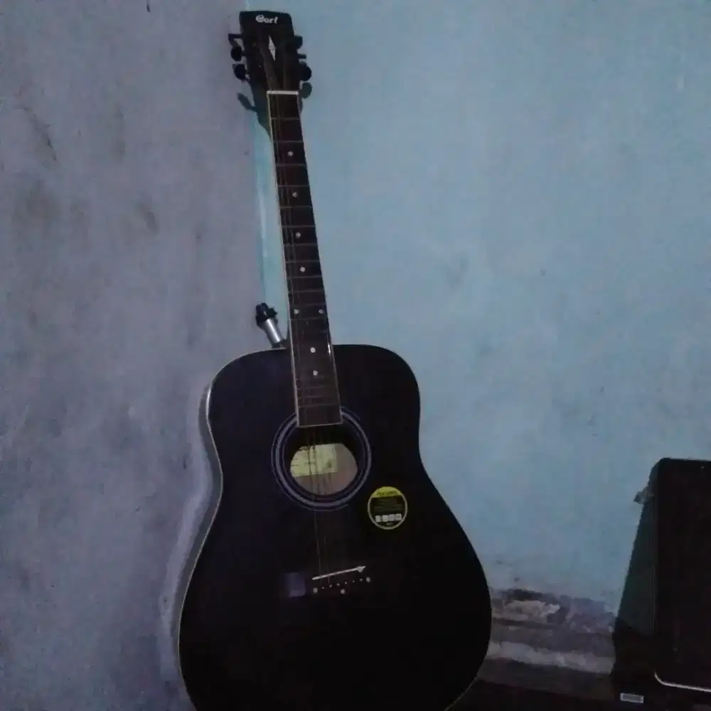 Gitar Cort Akustik Muluss