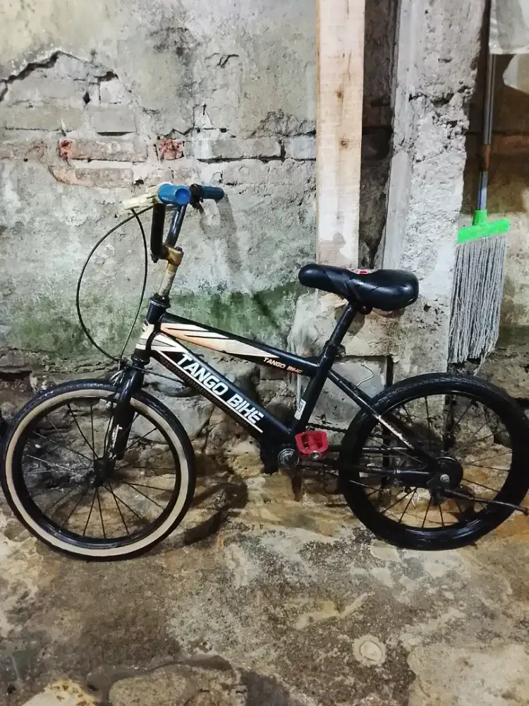 Sepeda buat anak ukuran 18