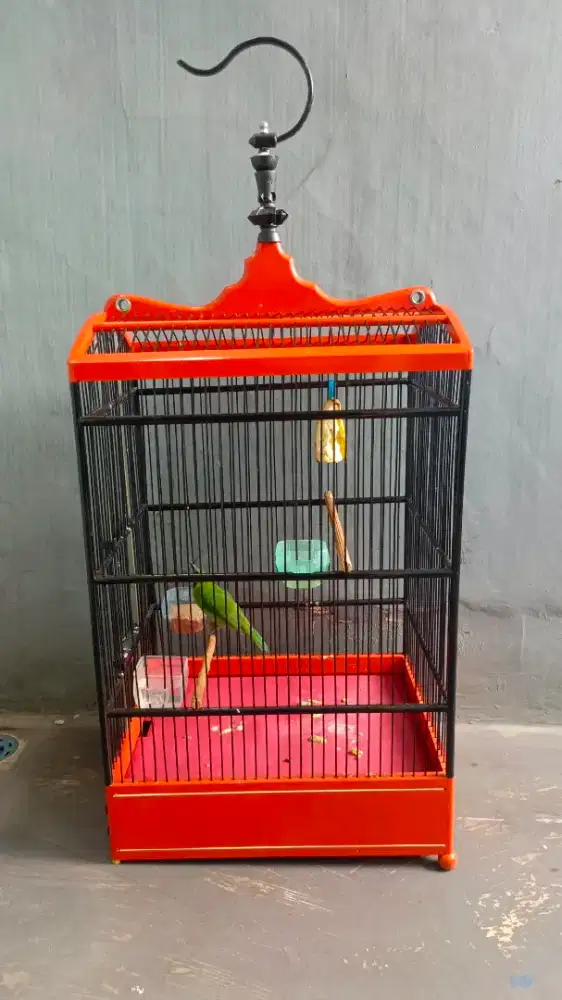 Jomin full sett gacor