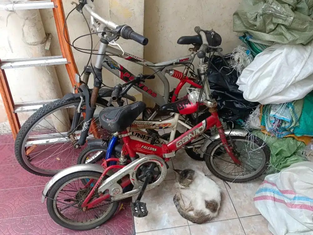 3 unit sepeda jual cepat