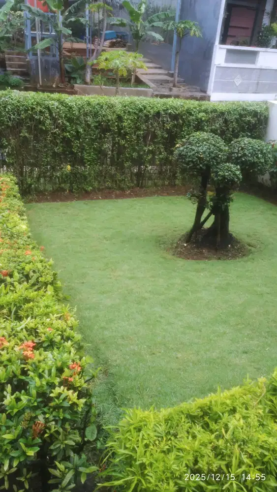 Jasa pembuatan dan perawatan taman / tanaman hias