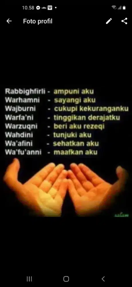 Perkutut Bangkok jumbo