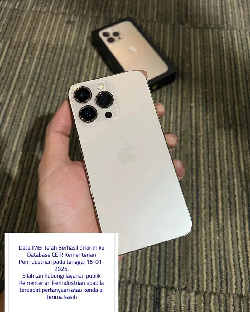 iPhone 13 Pro 256 Beacukai