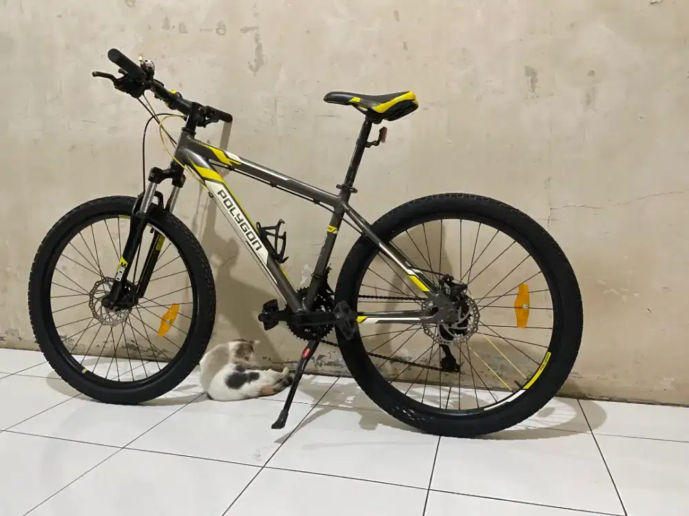 mtb polygon thunder five