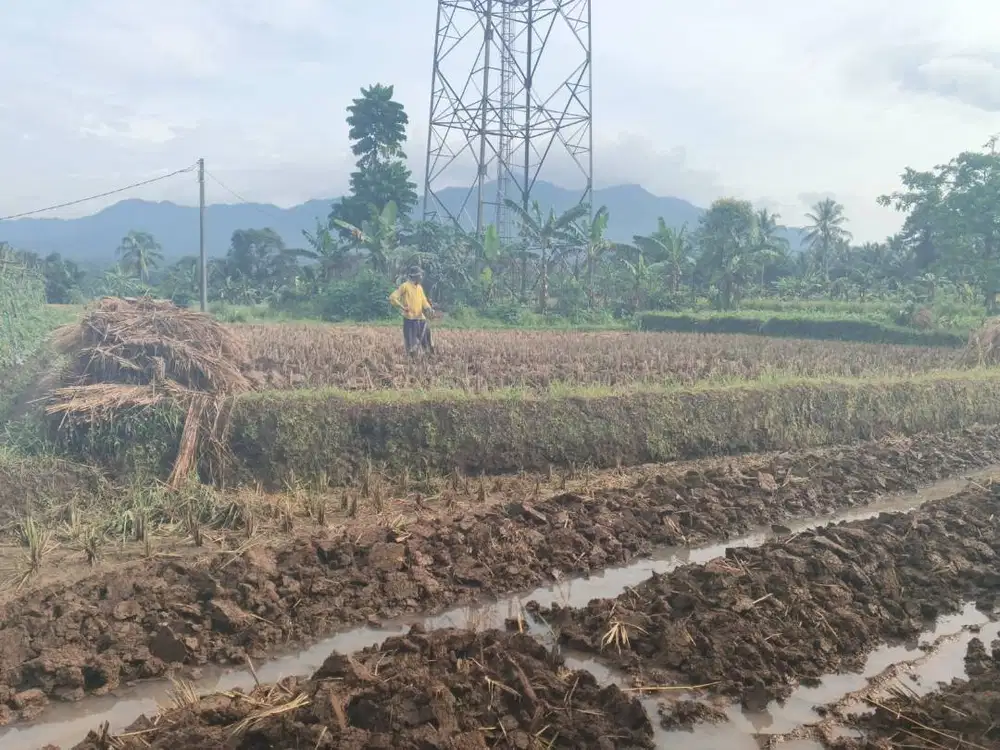 BISMILLAH.. DIJUAL CEPAT !!! Tanah/ Sawah View Alam di Pandeglang