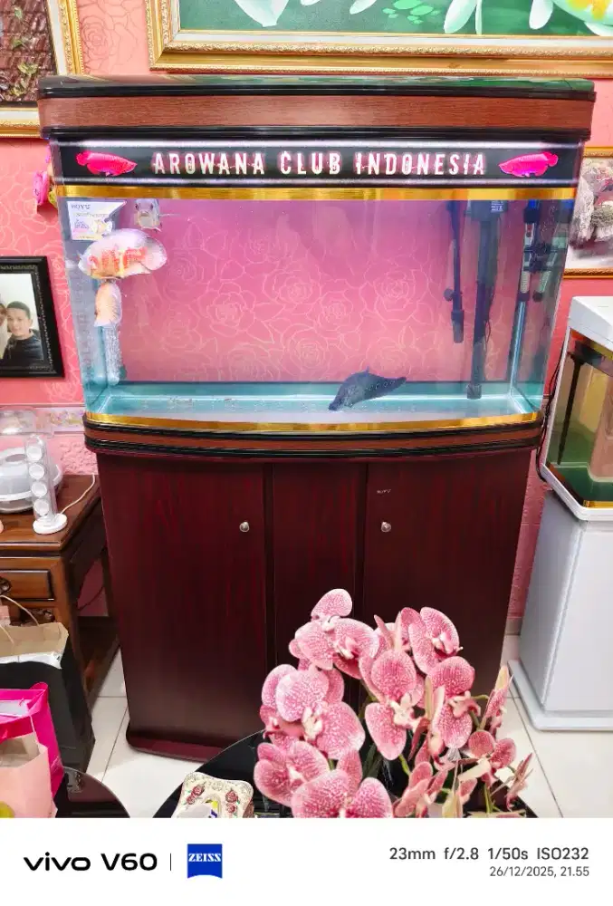 Aquarium BOYU + JBl external filter