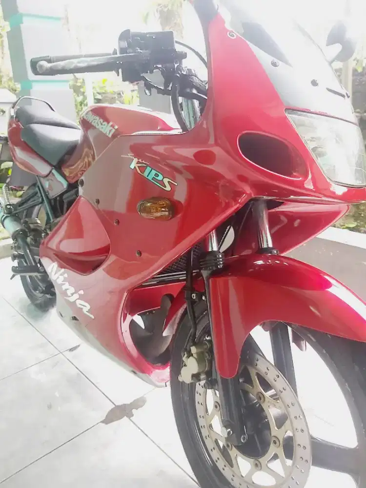 Ninja RR maroon 2009