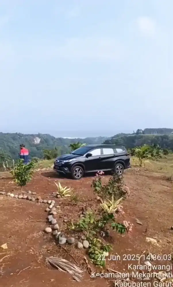 DIJUAL CEPAT PERKEBUNAN KELAPA GENJAH