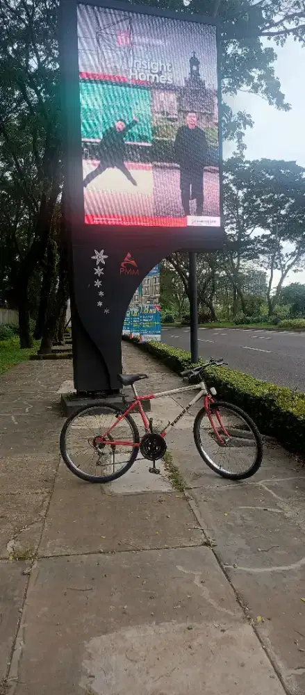 FEDERAL CITY CAT MG 42SS FULL ORIGINAL cat and part size 17