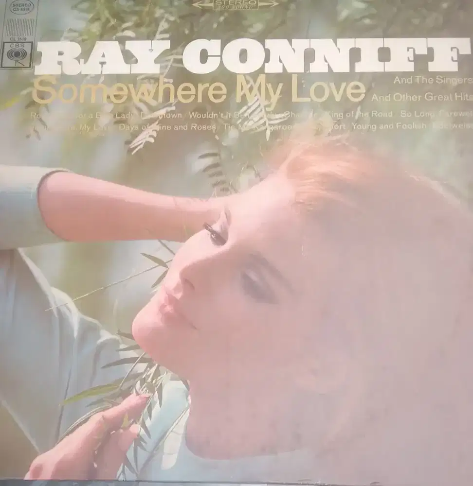 Piringan hitam jadul