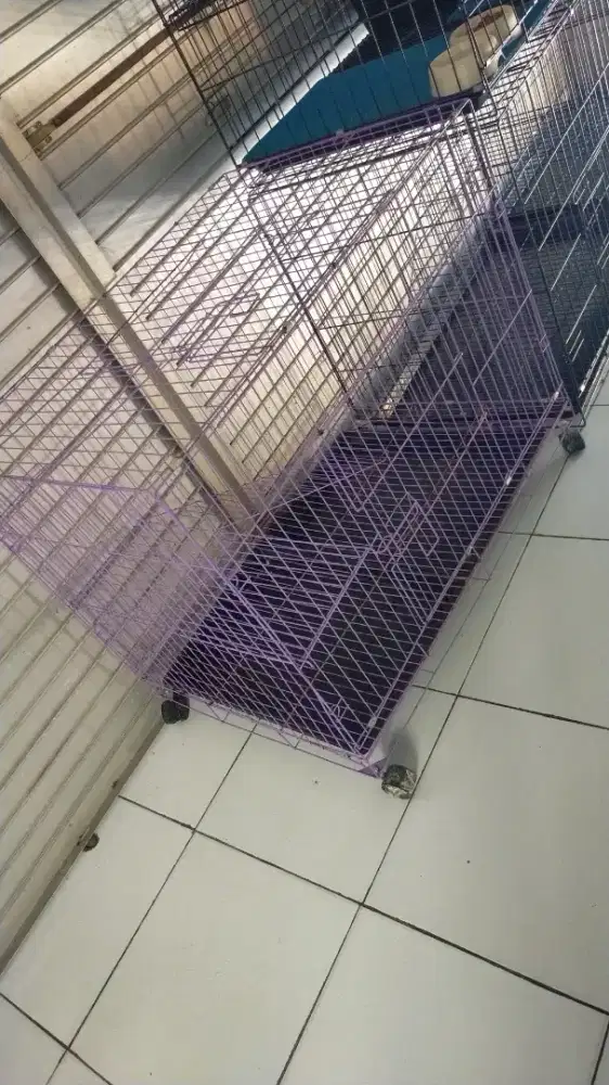 Kandang ukuran jumbo ada roda n ada tingkat nya