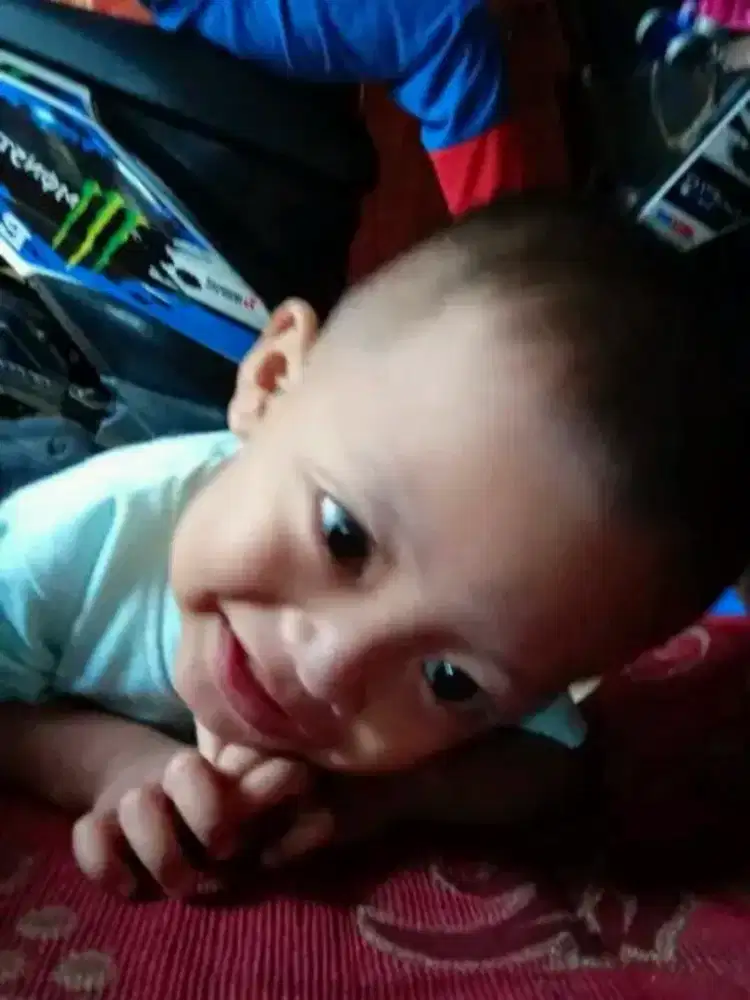 cari makan buat anak bini