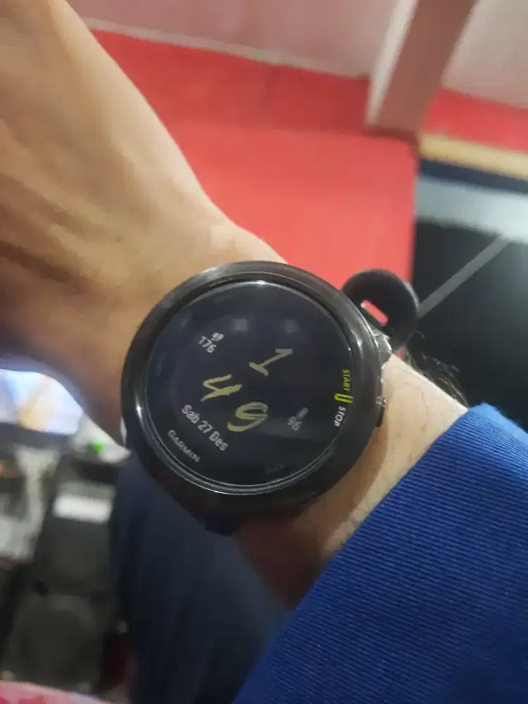 Garmin Forerunner 55