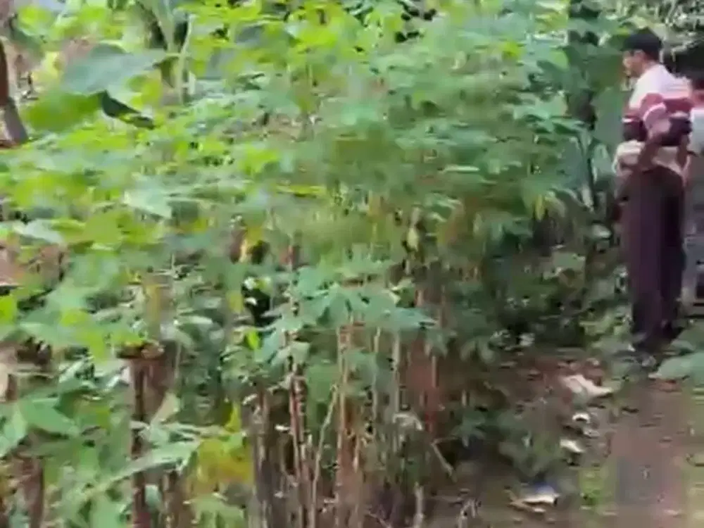 Aid - Dijual Tanah di Parung Bogor