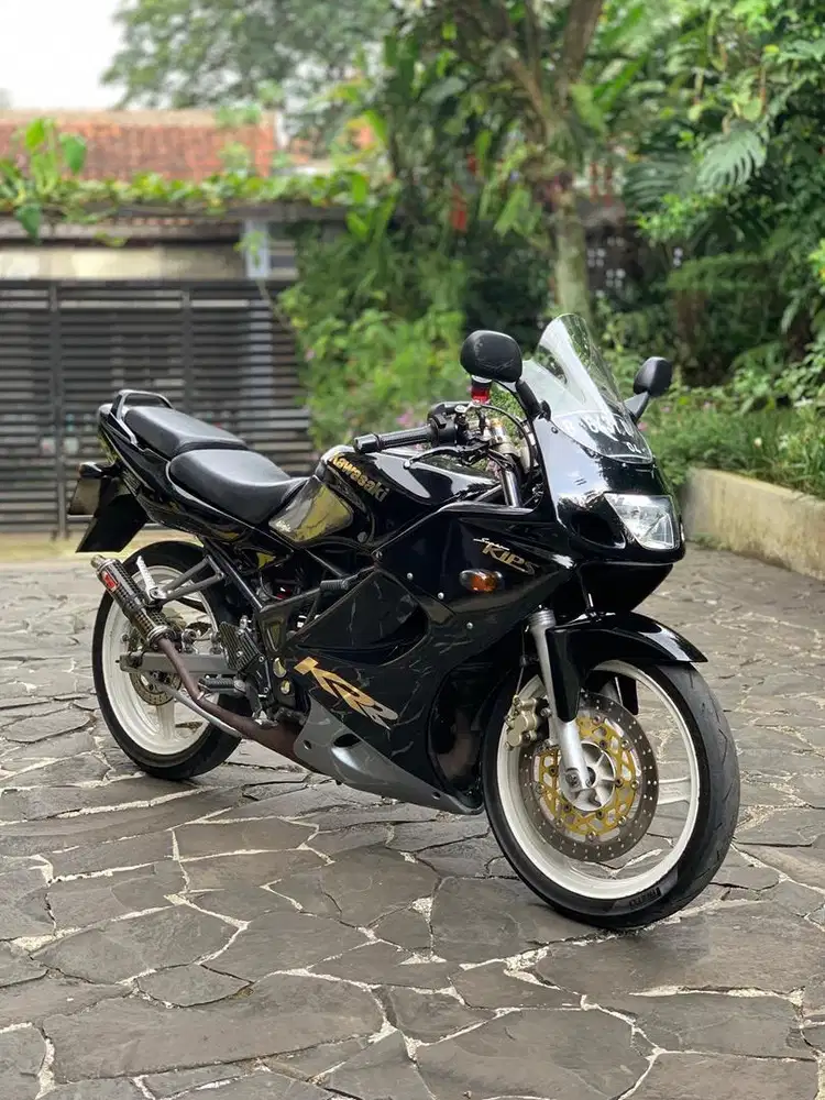 Ninja RR Old 2010 ZX Look CKD