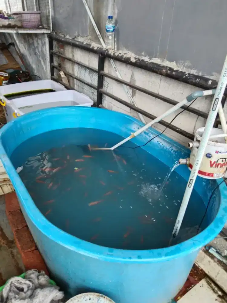 Kolam fiber 140 X 90 X 50 / P X L X T