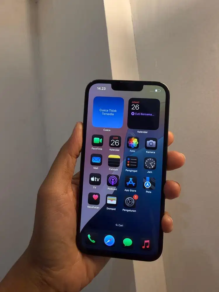 Iphone 13 Pro 1TB Alphine Green Beacukai