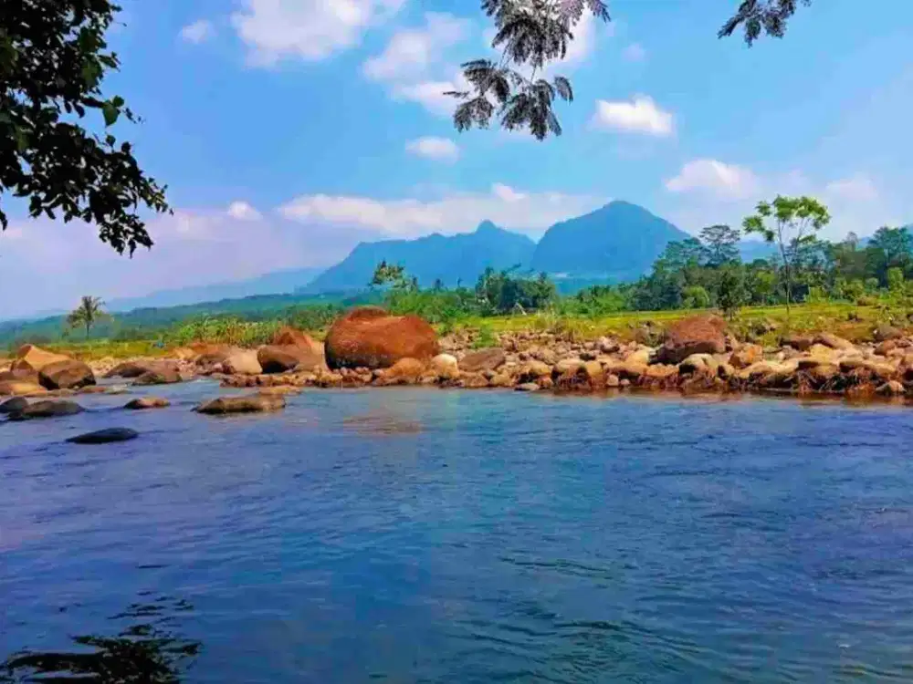 Jual Tanah Kavling Desa Wisata Alam Puncak 2 Bogor Murah