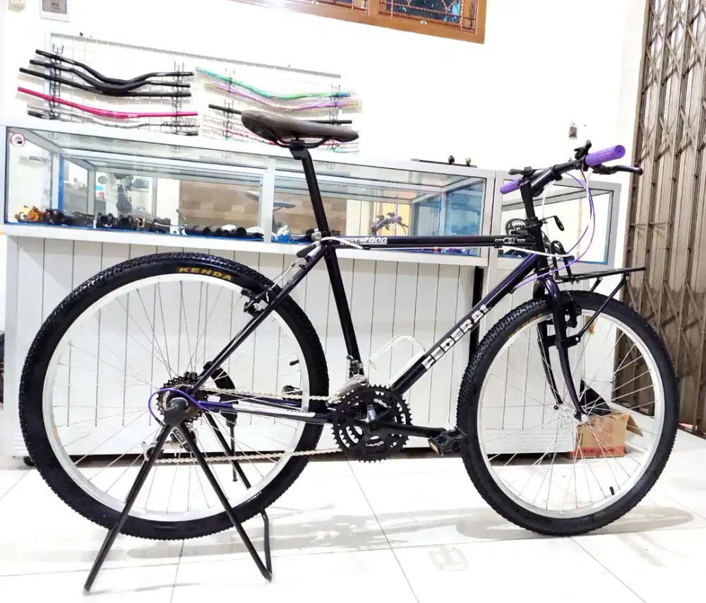 Sepeda Federal City Cat size 19 repaint redecal ber nomer seri