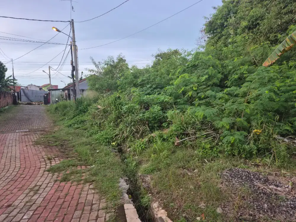 Dicari orang yg bisa bersihin tanah kosong