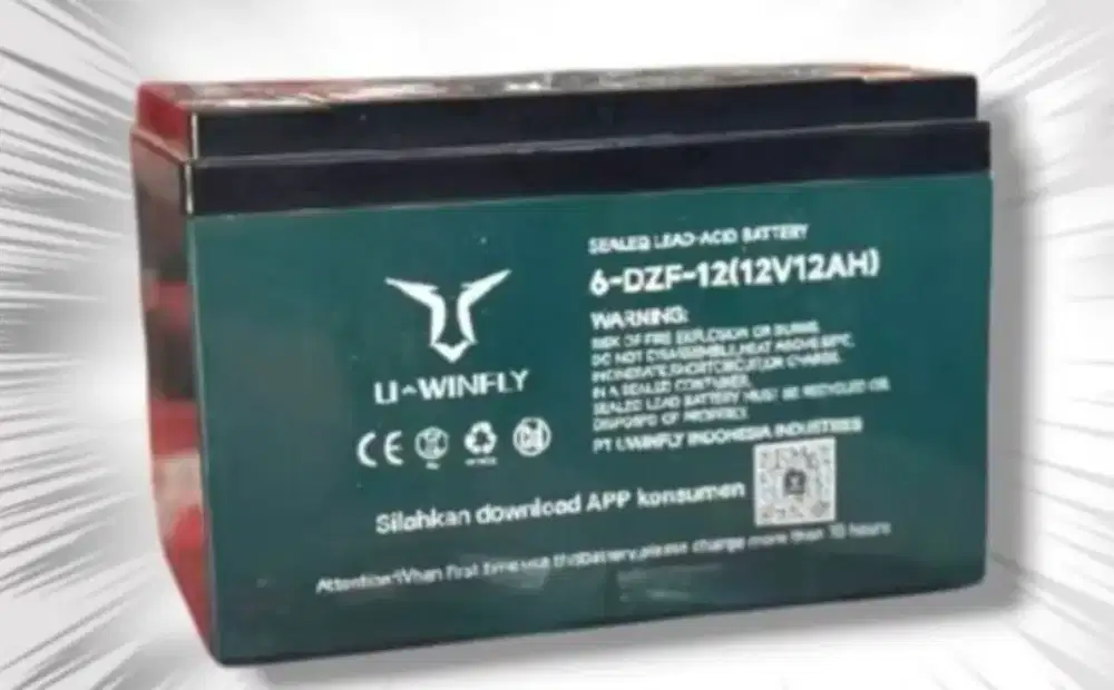 Baterai uwinfly 12 v