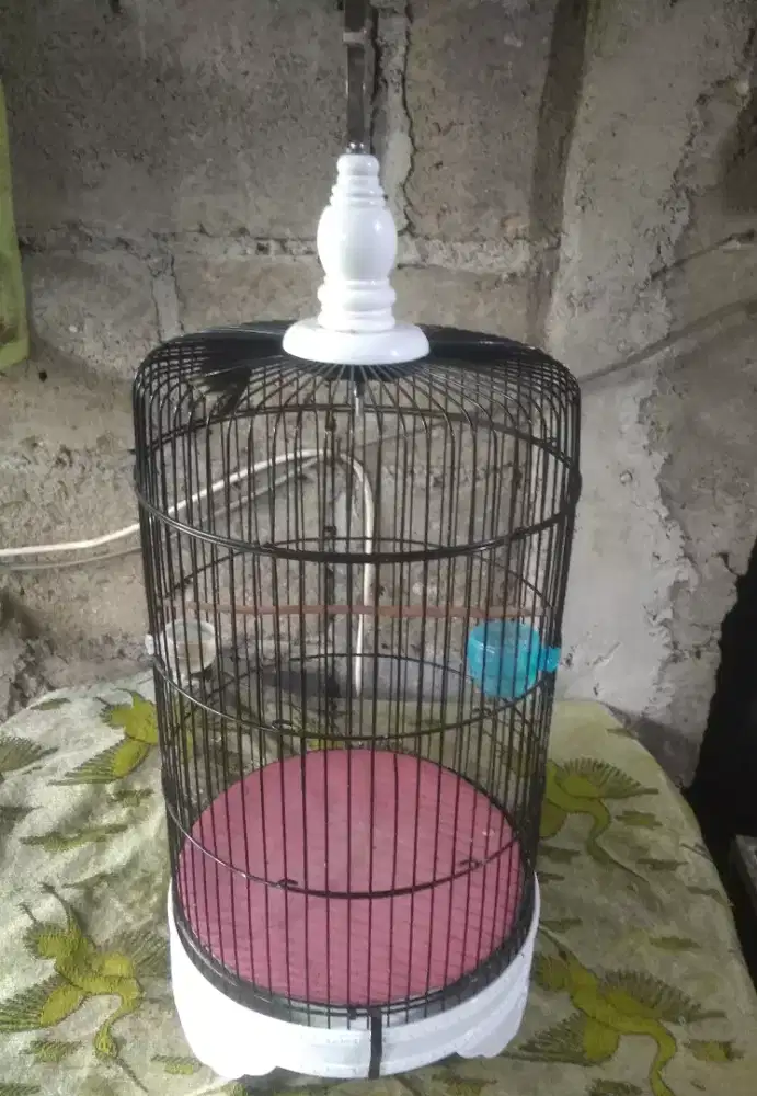 Kandang burung kecil