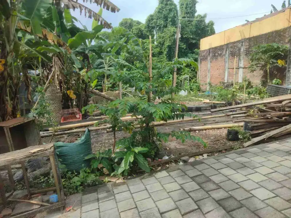 dijual tanah kosong siap bangun lokasi dalung