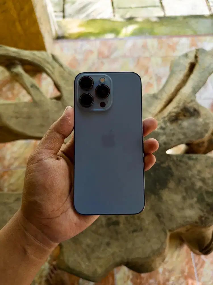 iphone 13 pro 256 regis kmenprin