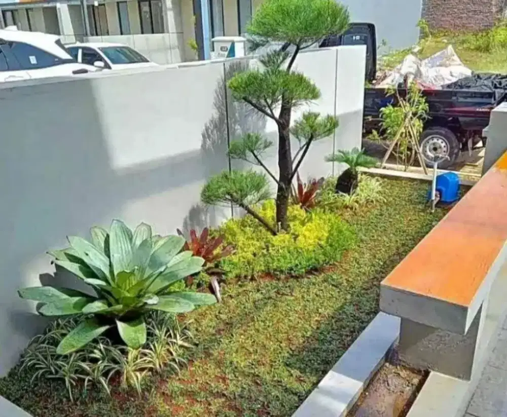 Tukang pembuat Taman dan kolam ikan koi