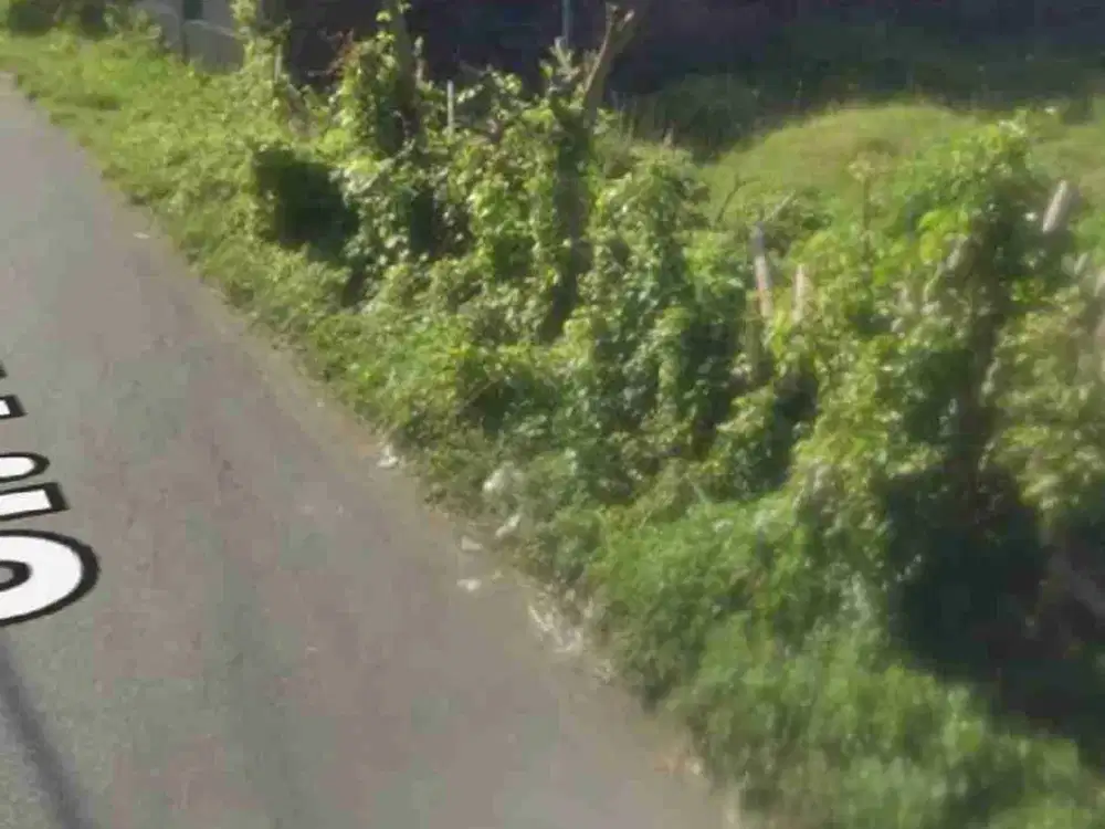 tanah Kutat lestari Sanur bali