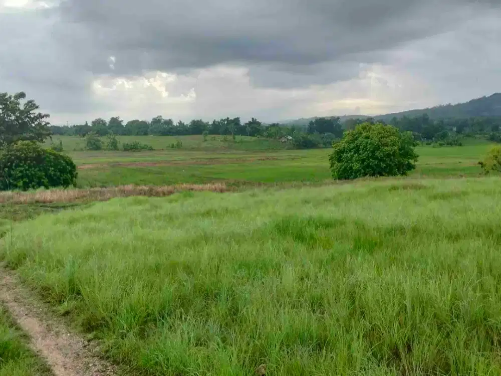 Dijual Murah Tanah Pertanian