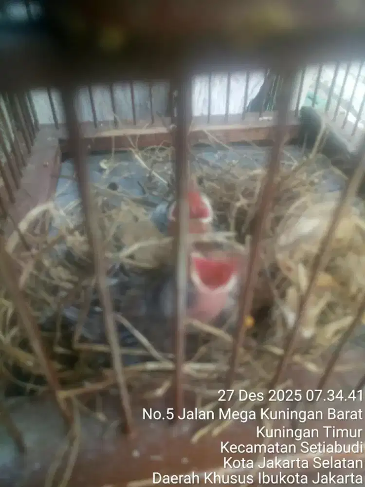 JUAL SANTAI SAMBIL NGOPI