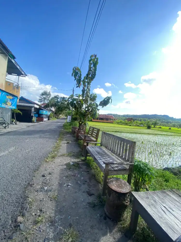 Jual Tanah Murah di Kasongan Bantul