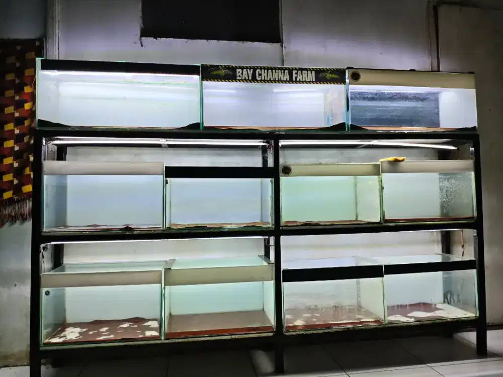 rak tank kondisi terbaik