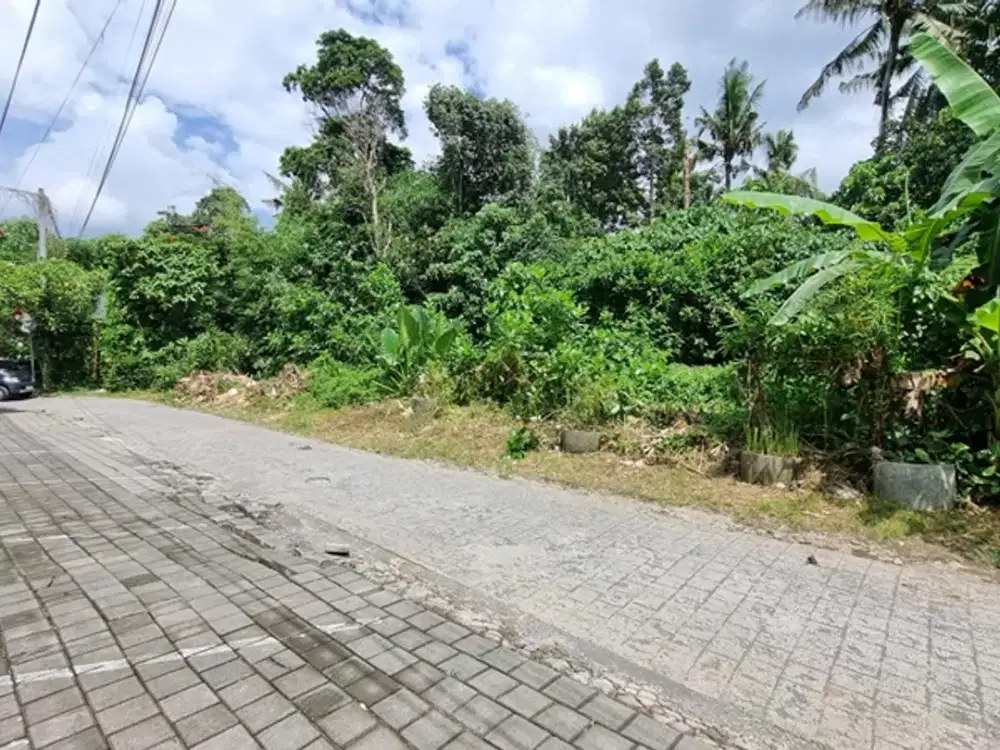For Leasehold 18 Are Land at Prime Location Sayan, Ubud