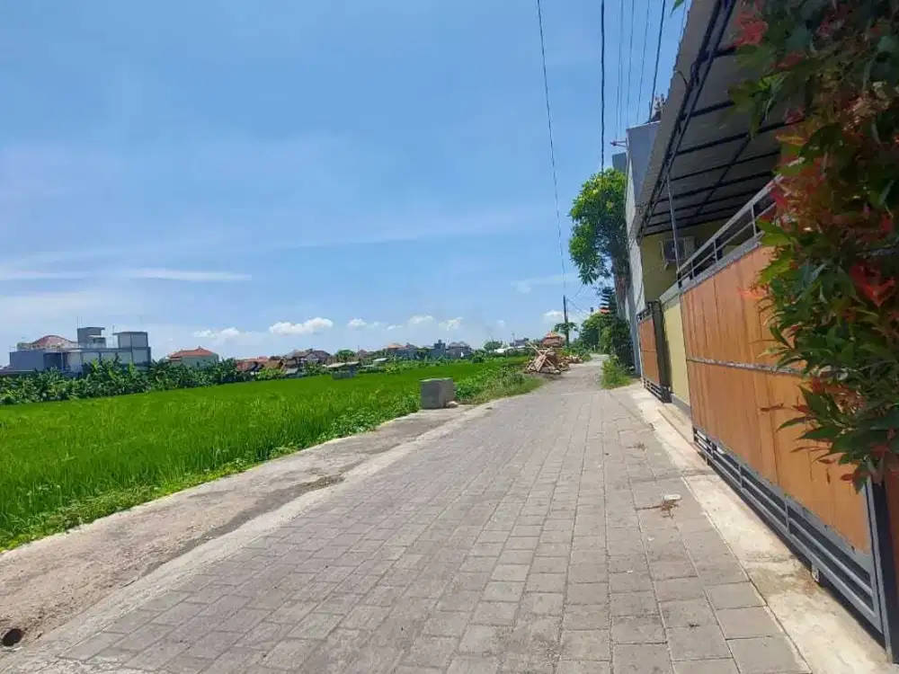 Dijual cepat Rumah 3 +1  kamar tidur Pedungan Denpasar Selatan