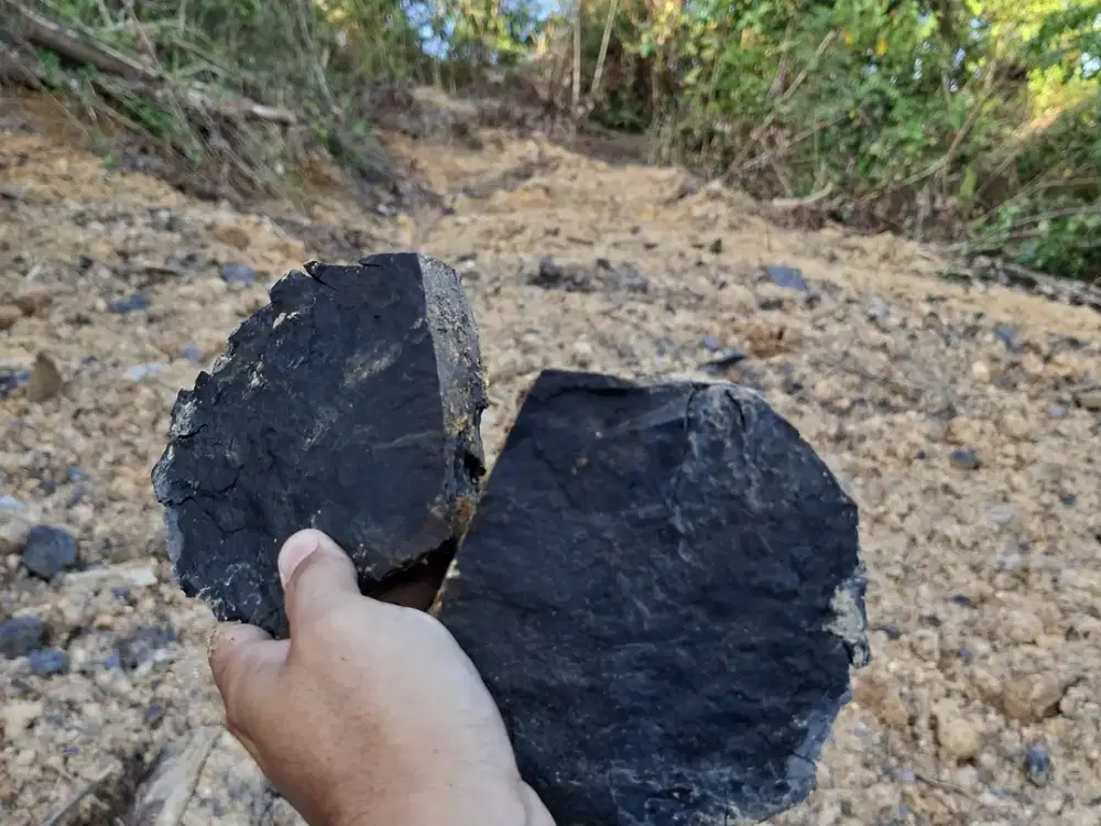 Jual Tanah Di Kalimantan Timur Berau Potensi BatuBara dan Sawit 2 Hktr