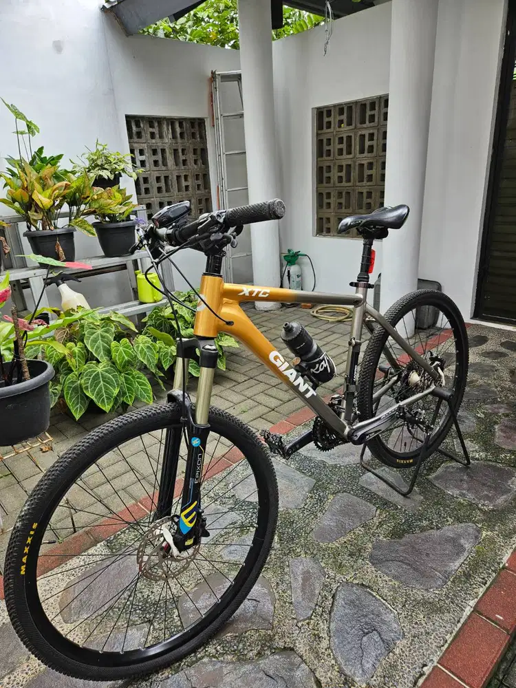 Speda MTB Giant