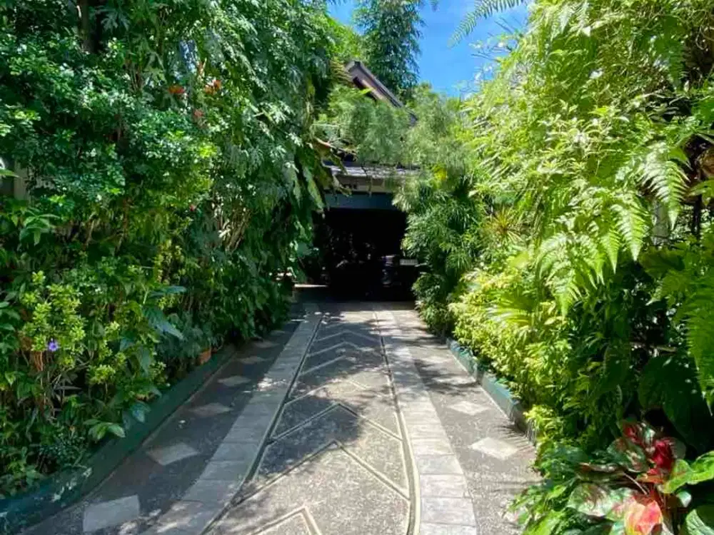 RUMAH DIJUAL! RUMAH RASA VILLA di Matraman: Oase Tenang dengan Ceiling Tinggi di Jantung Jakarta