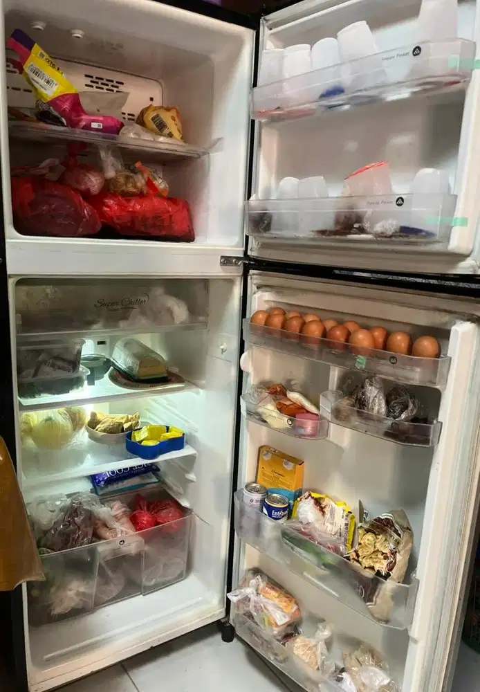 kulkas sanken 2 pintu