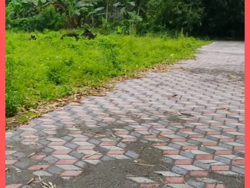 Tanah Jogja Kost Area Kampus UII Kaliurang SHM Pekarangan