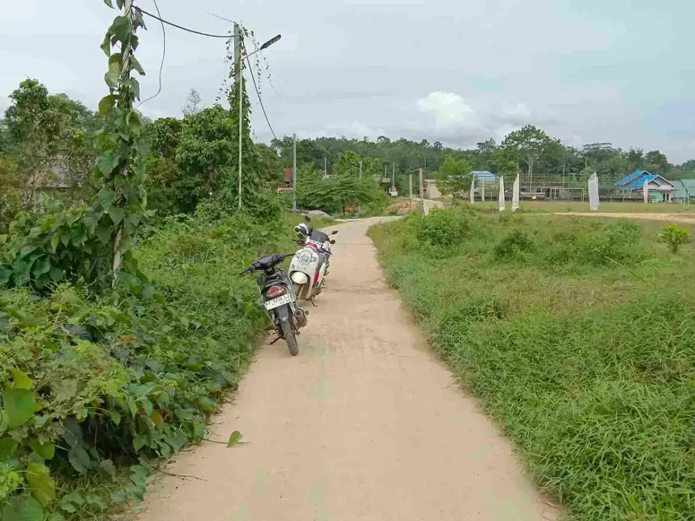 Bismillah dijual Kavling cocok untuk rumah tinggal dan Kosan 250 M² SHM 10 menit menuju Istana Negara